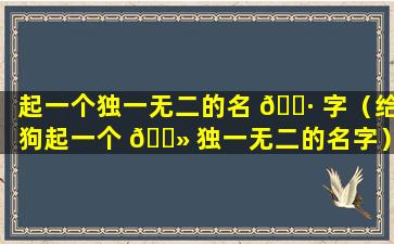 起一个独一无二的名 🌷 字（给狗起一个 🌻 独一无二的名字）